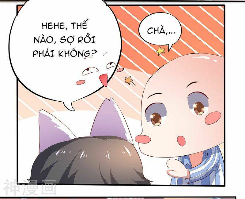 Quy Luật Năm Bản Mệnh Của Hồ Ly: Chapter 1