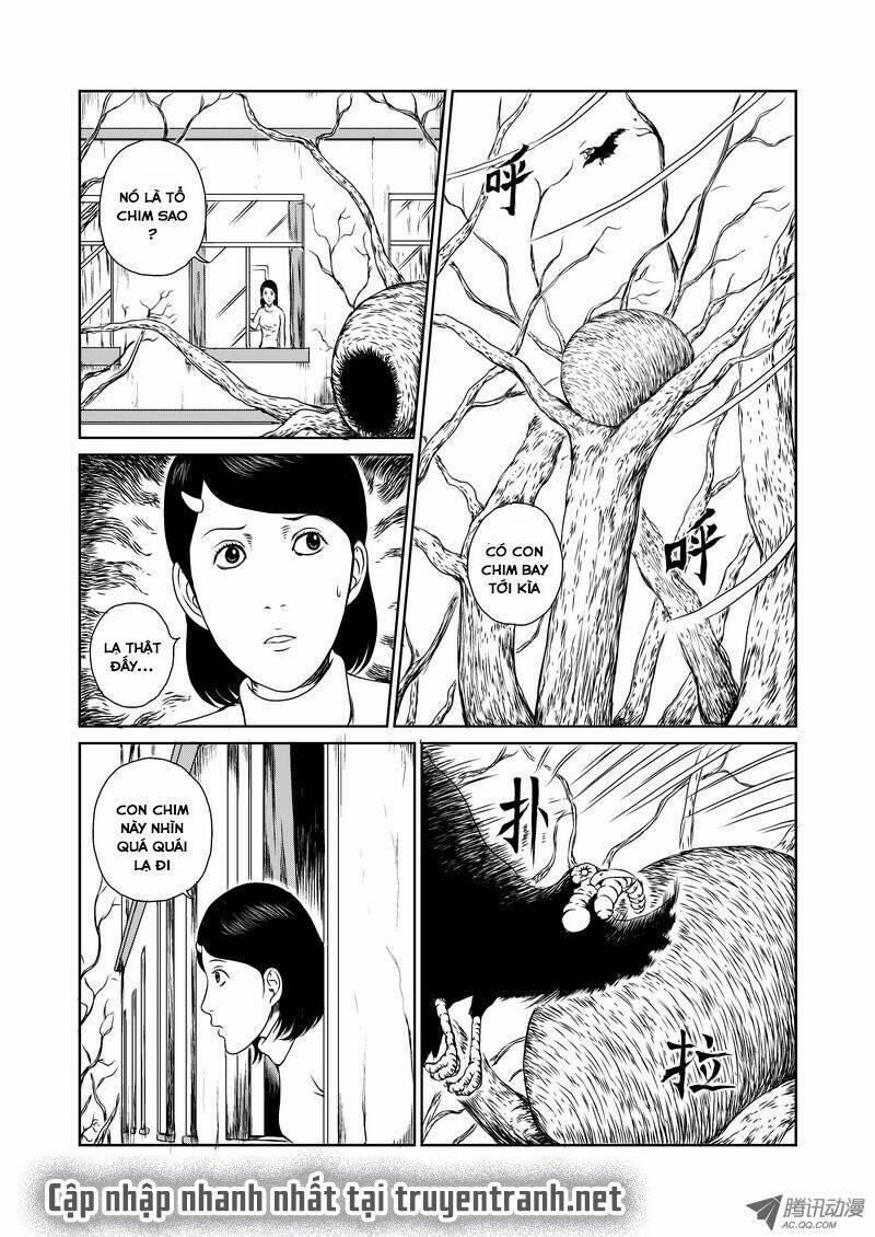 Mảnh Vỡ Ác Mộng: Chapter 1