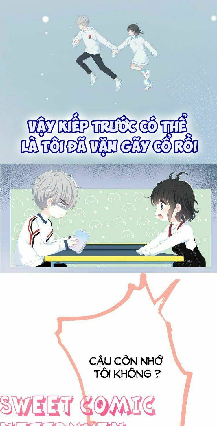 Vấp Phải Nghịch Quang: Chapter 0