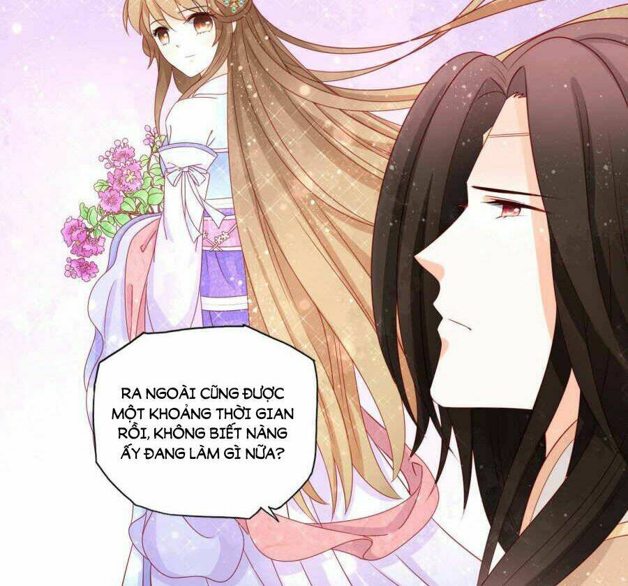 Nam Phi Nữ Tướng: Chapter 44