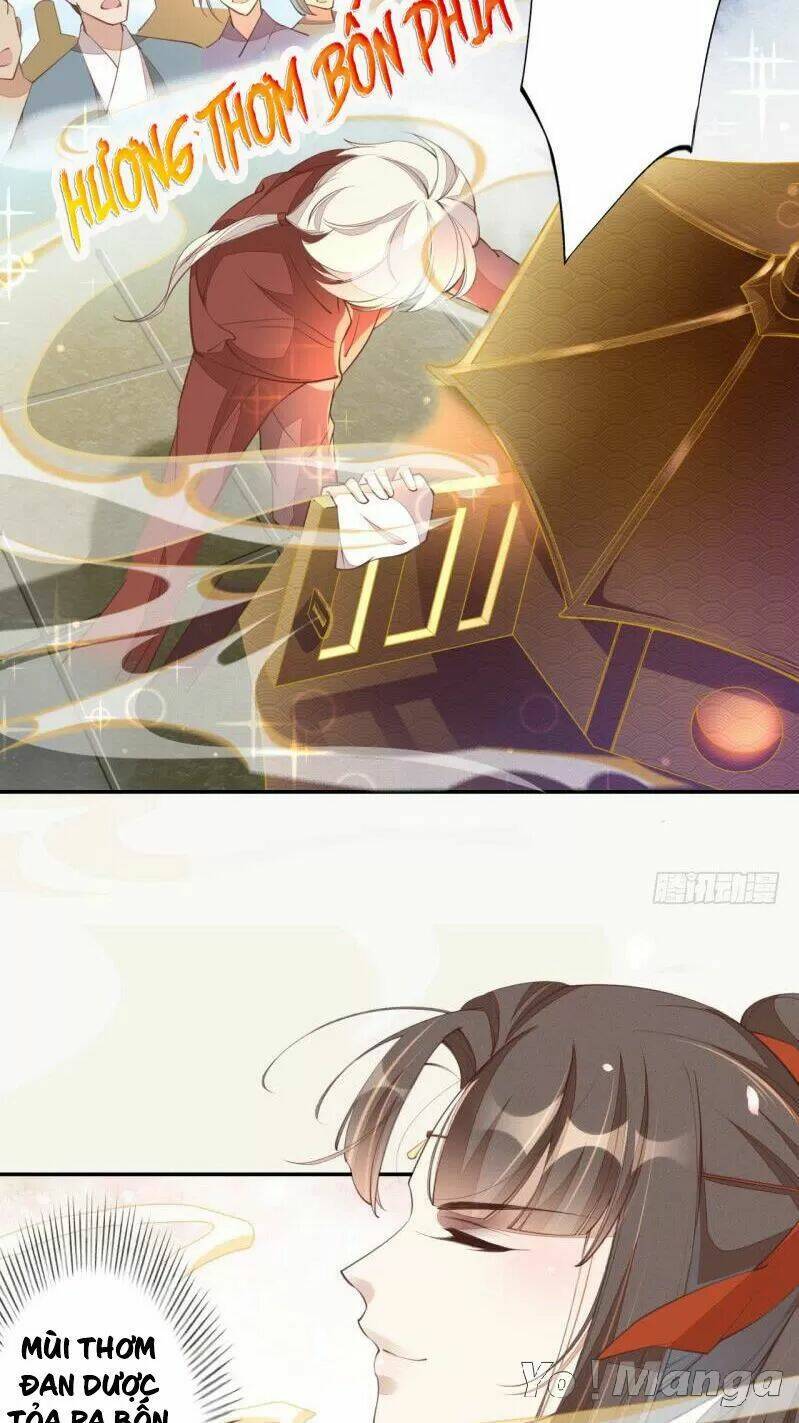 Tuyệt Thế Luyện Đan Sư: Chapter 66