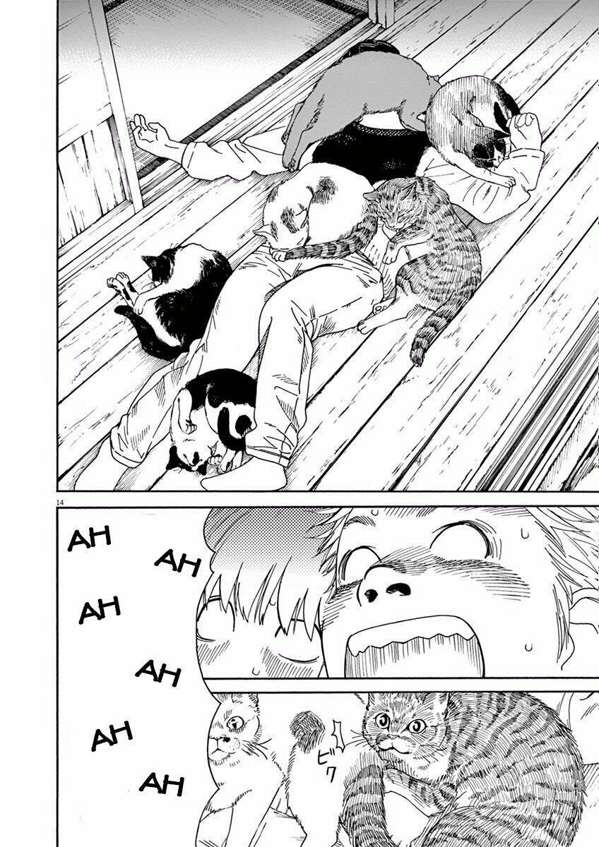 Neko No Otera No Chion-San: Chapter 5