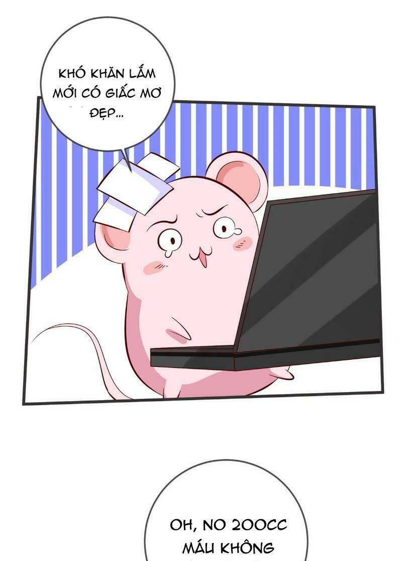 Đế Hoàng Chi Thần Y Khí Phi: Chapter 41