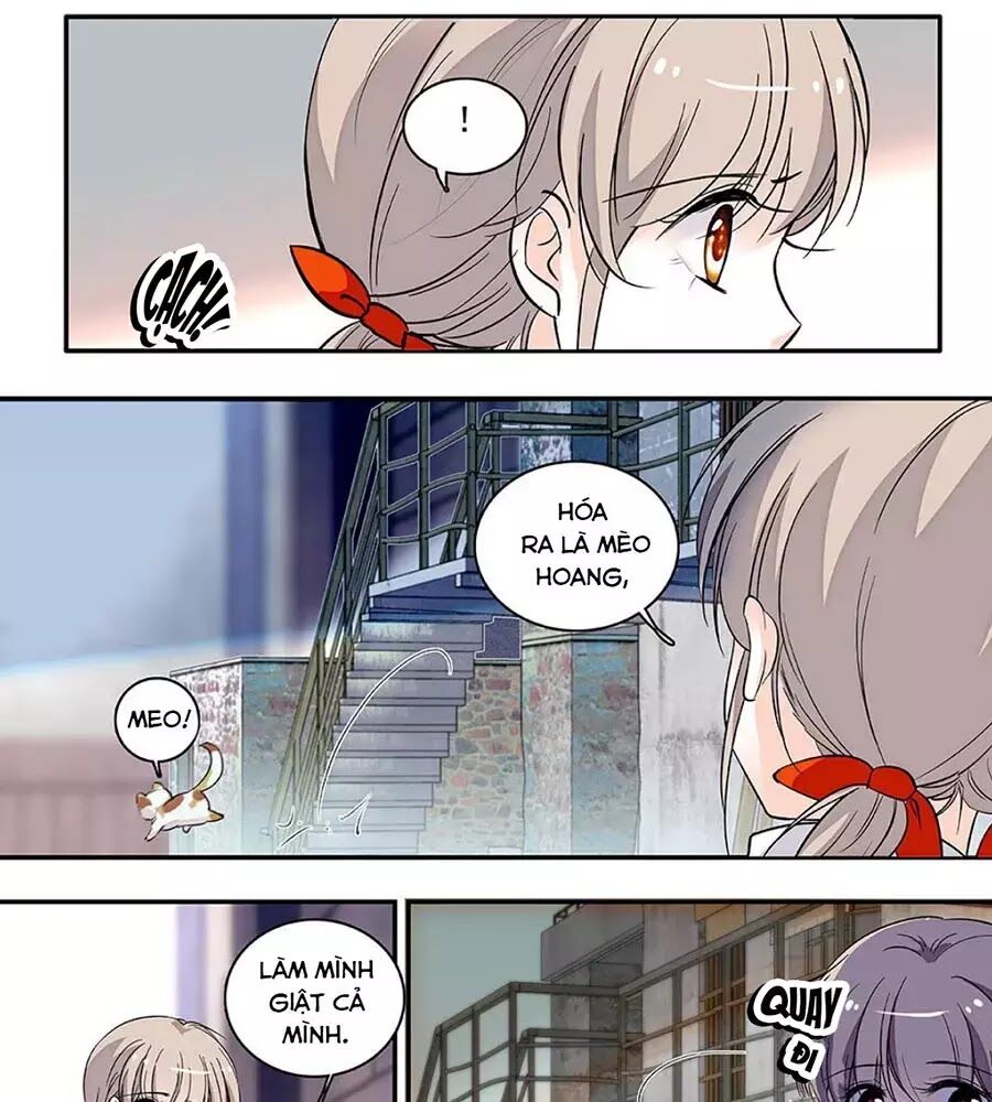 Thanh Ninh Chi Hạ: Chapter 439