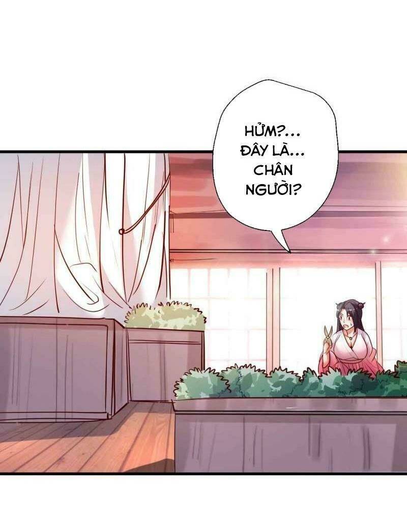Tối Cường Đại Biểu Hoàng Kim Thận: Chapter 83