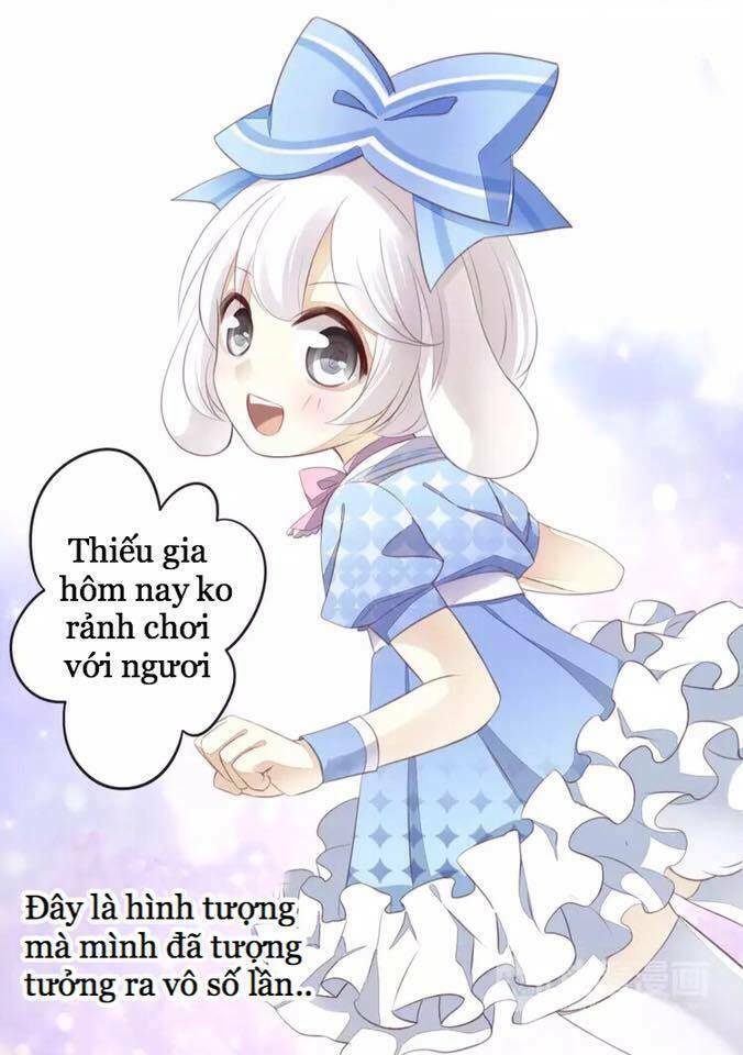 Dưới Móng Vuốt Mèo: Chapter 17