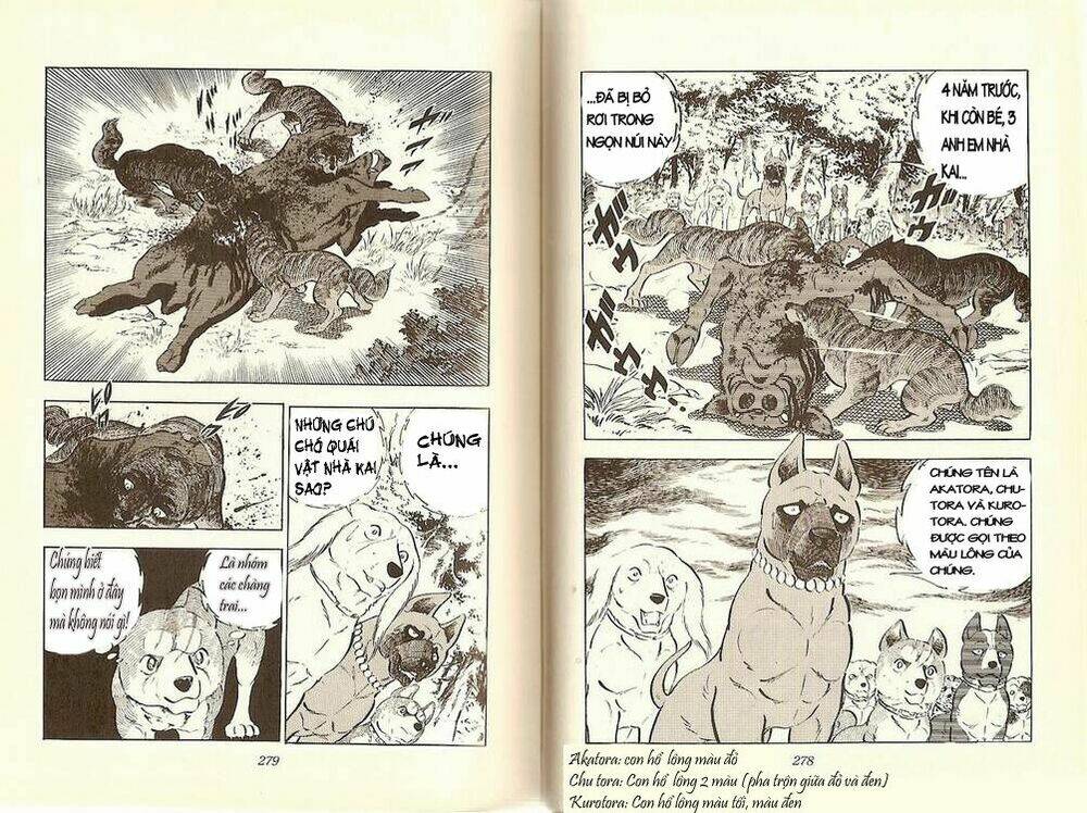 Chú Chó Có Nghĩa - Ginga Nagareboshi Gin: Chapter 12