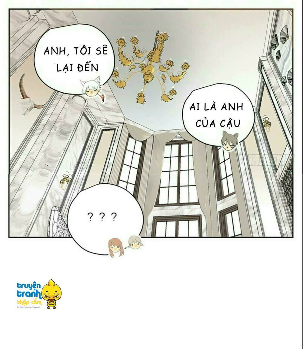 Cứu Mạng! Loài Mèo Thống Trị Thế Giới Rồi!: Chapter 32