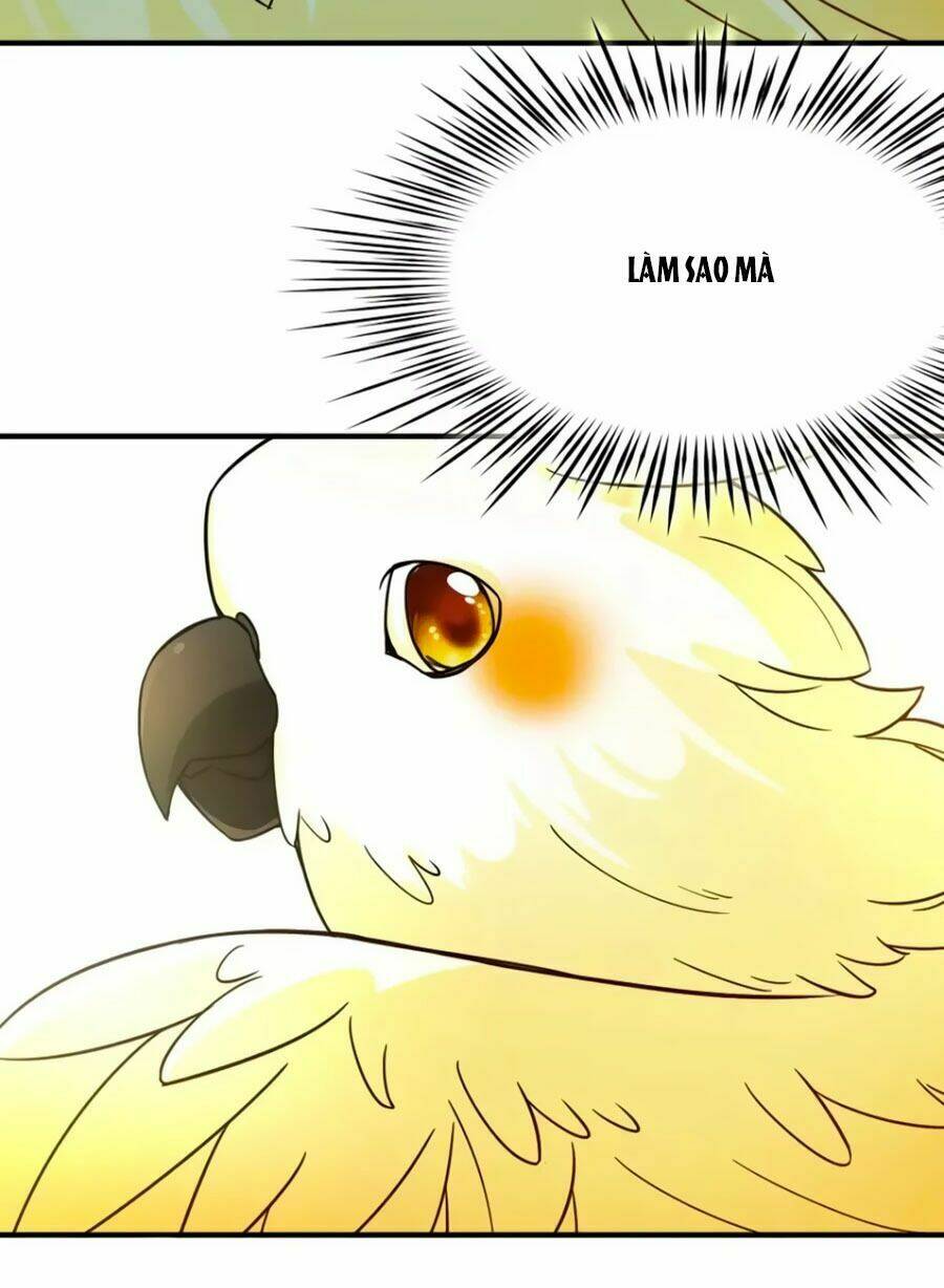 Huyền Vũ Luyến Ca: Vạn Vật Sinh Linh: Chapter 36