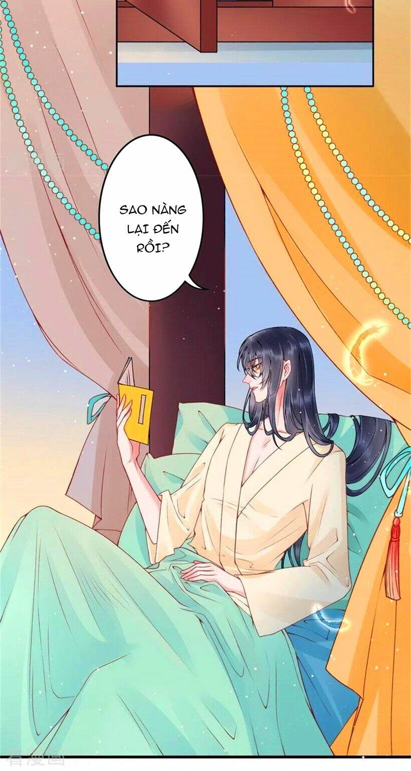 Hoàng Phi 9000 Tuổi: Chapter 100