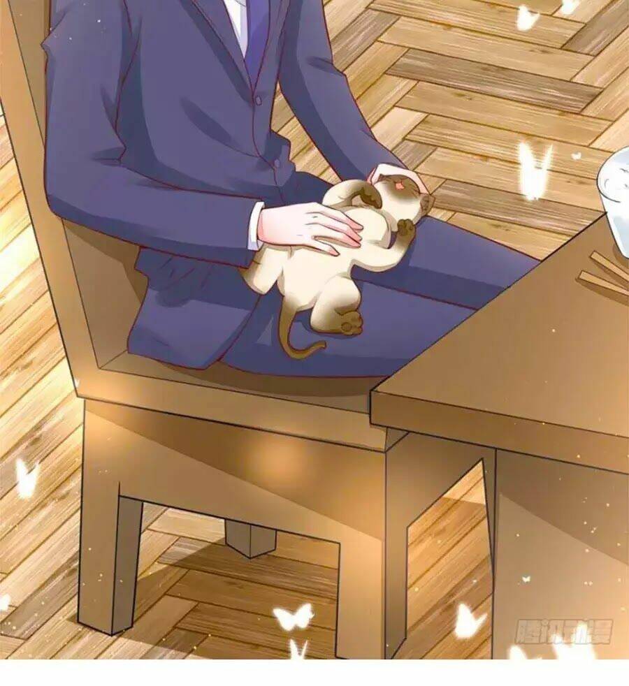 Thịnh Thế Hoa Sủng: Tôi Bị Bắt Làm Tù Binh: Chapter 19