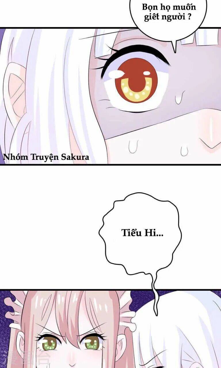 Tôi Vốn Dĩ Bị Bệnh Kiều: Chapter 23