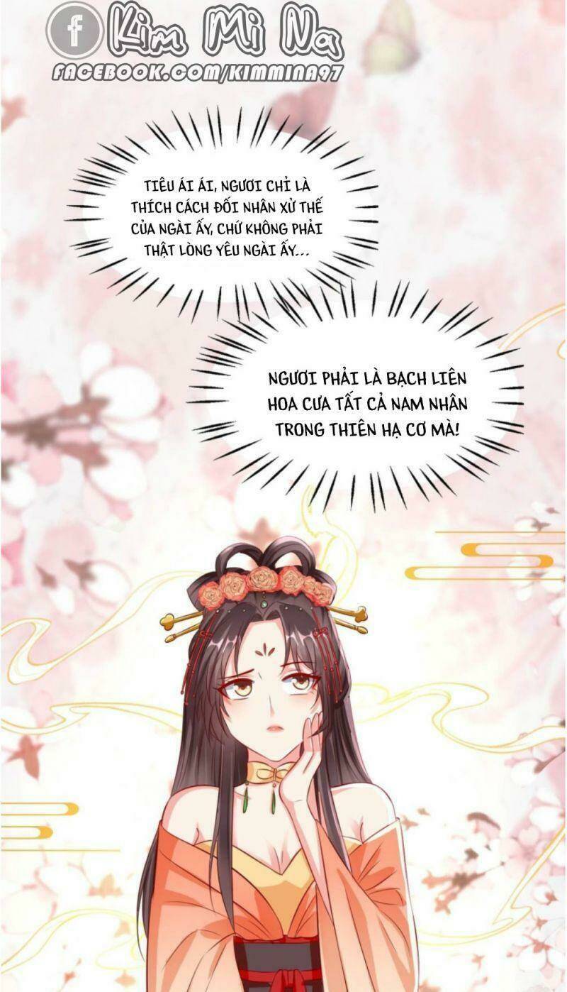 Vương Phi Là Đoá Bạch Liên Hoa: Chapter 26