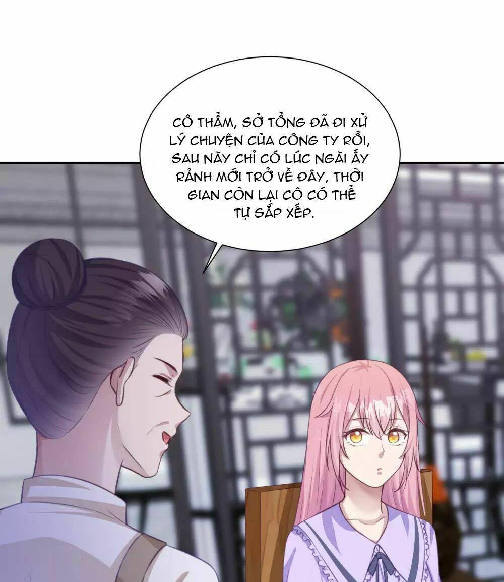 Tổng Tài Thịnh Sủng Tiền Thê: Chapter 15