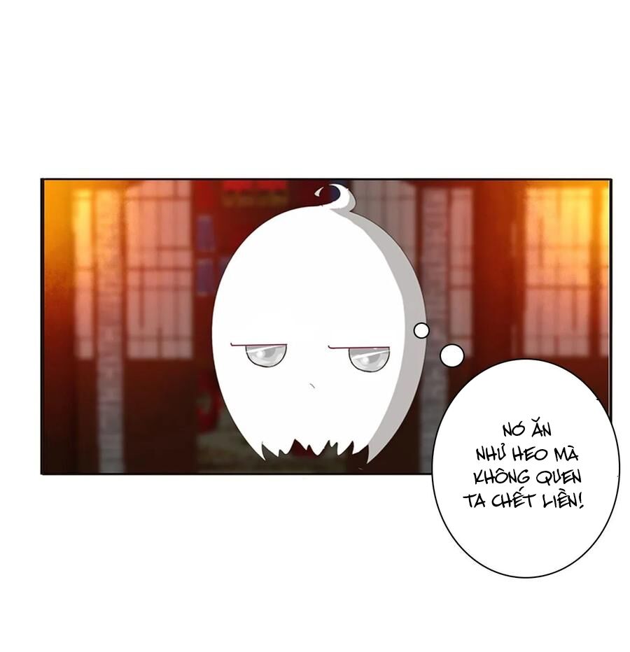 Thông Linh Phi: Chapter 623