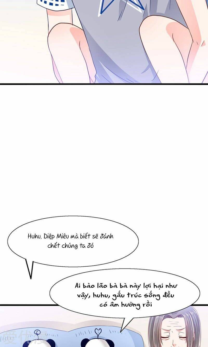 Tôi Bị Gấu Trúc Nhìn Trúng Rồi: Chapter 15