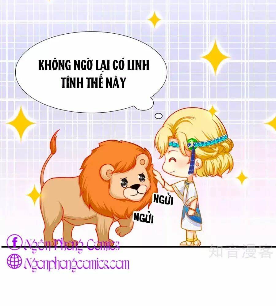 Sủng Hậu Của Vương: Chapter 1