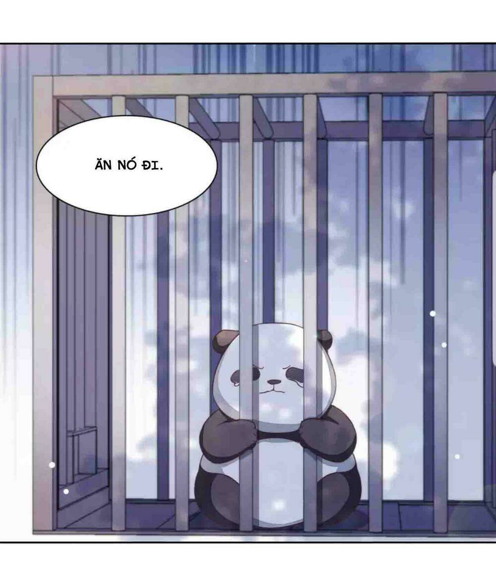 Xuyên Về Cổ Đại Làm Quốc Bảo: Chapter 6