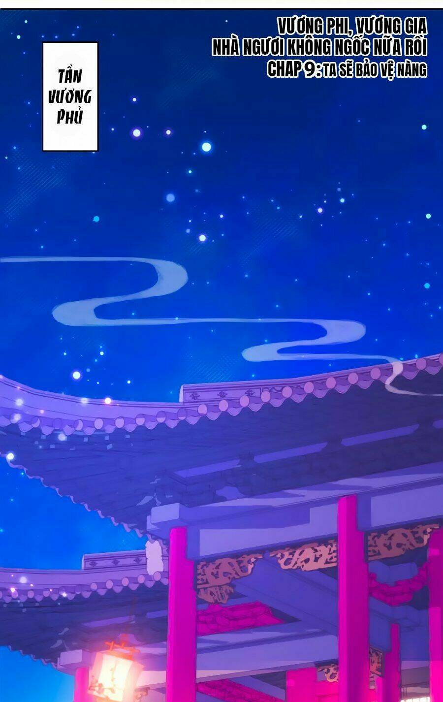 Vương Phi, Vương Gia Nhà Ngươi Không Ngốc Nữa Rồi: Chapter 9