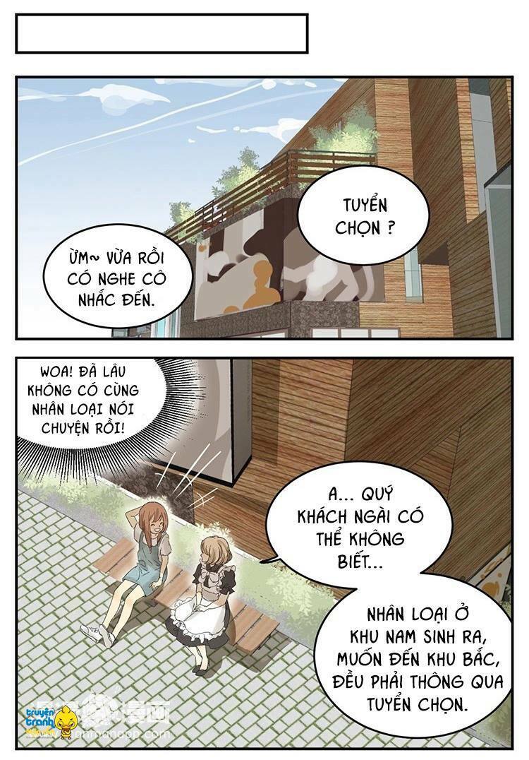 Cứu mạng ! Loài mèo thống trị thế giới rồi !: Chapter 12