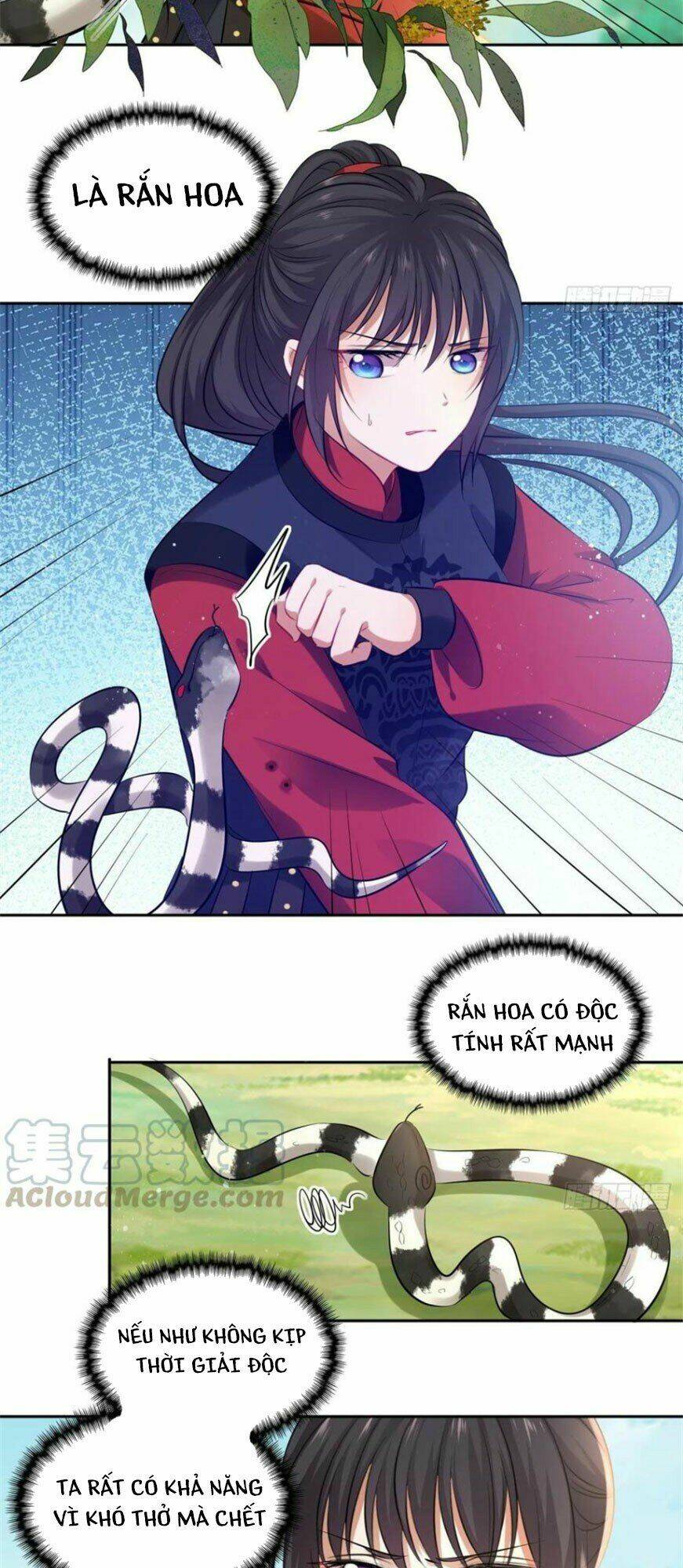 Vương Phi Thật Thích Trang Điểm: Chapter 109