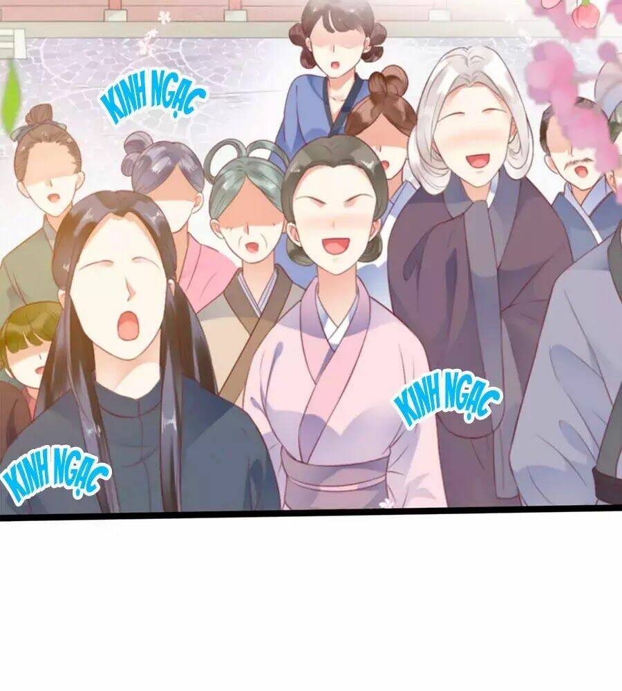 Tang Lạc Túy Tại Nam Phong Lý: Chapter 1