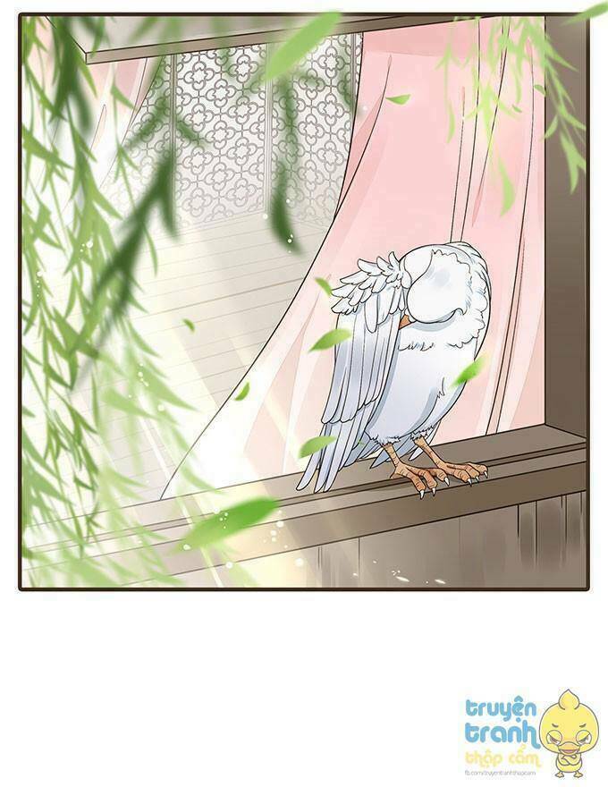 Đại Giá Thừa Tướng: Chapter 17