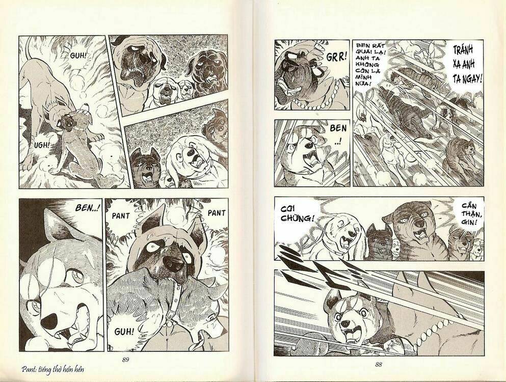 Chú Chó Có Nghĩa - Ginga Nagareboshi Gin: Chapter 19