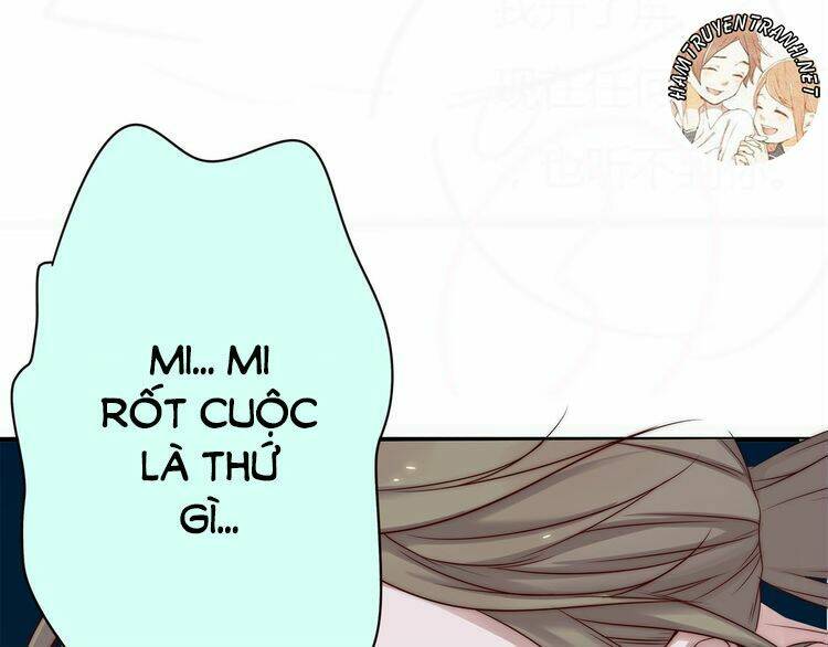 Viện Bảo Tàng Tâm Nguyện: Chapter 3.1