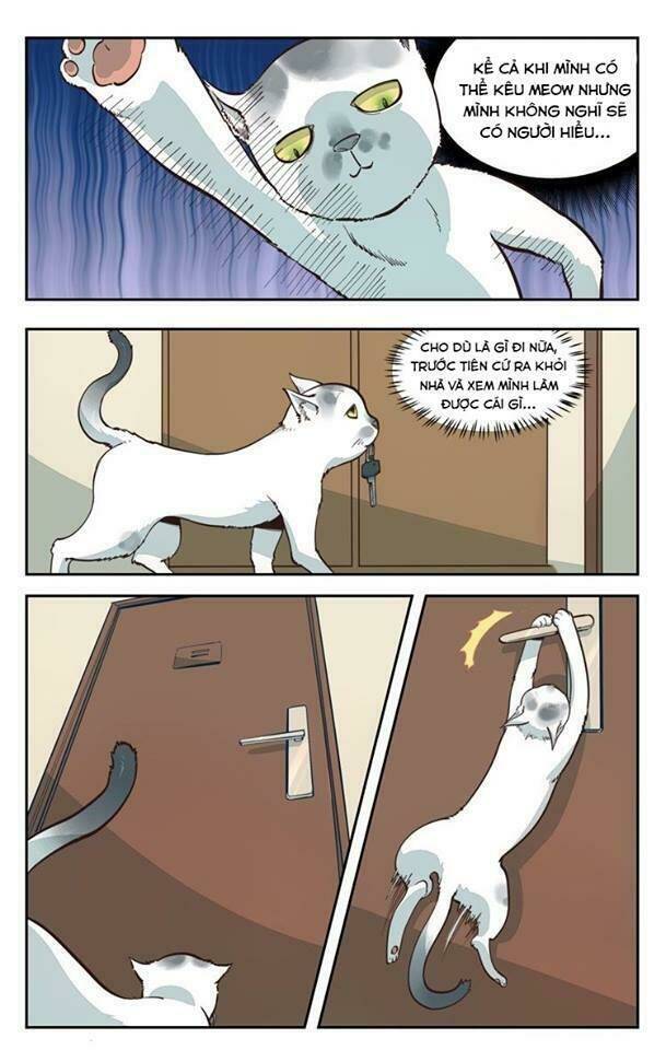 Thời Khắc Ấy, Chúng Ta Gặp Nhau: Chapter 2