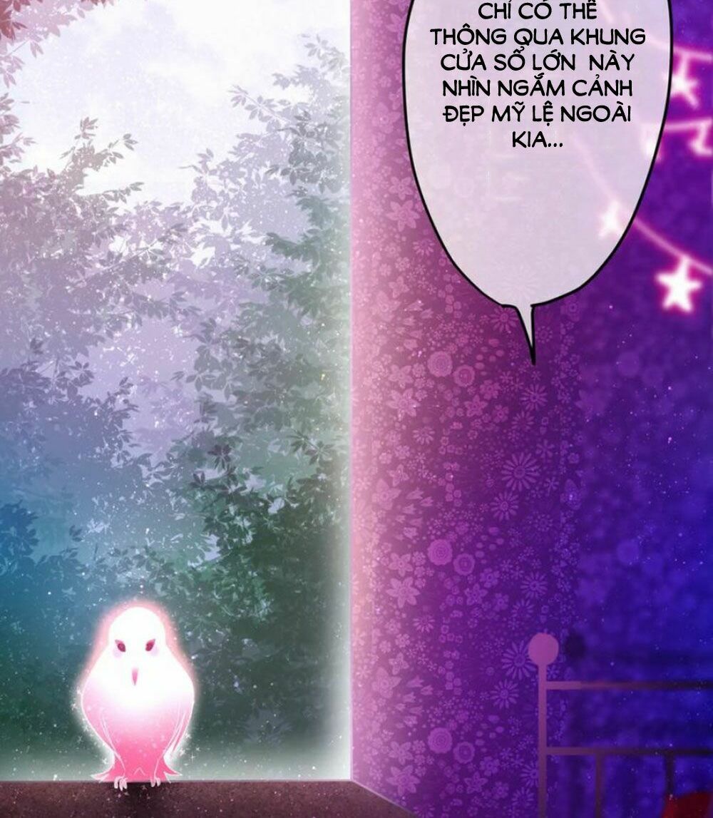 Tháng Sáu Kì Diệu: Chapter 22.5