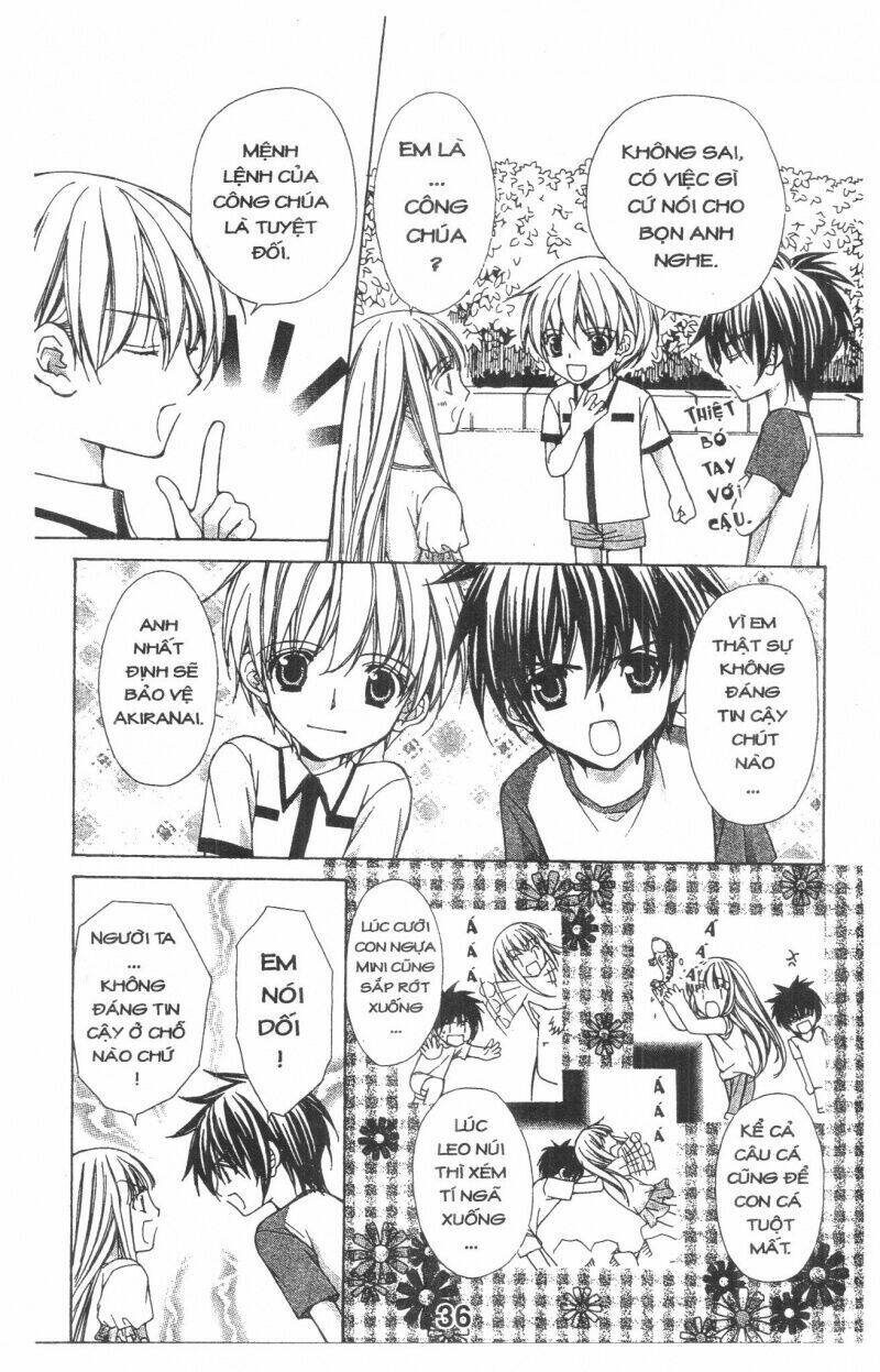 Trái Tim Kim Cương: Chapter 1