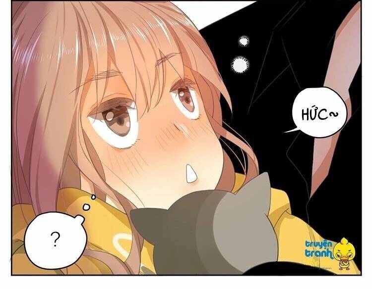 Cứu Mạng! Loài Mèo Thống Trị Thế Giới Rồi!: Chapter 23