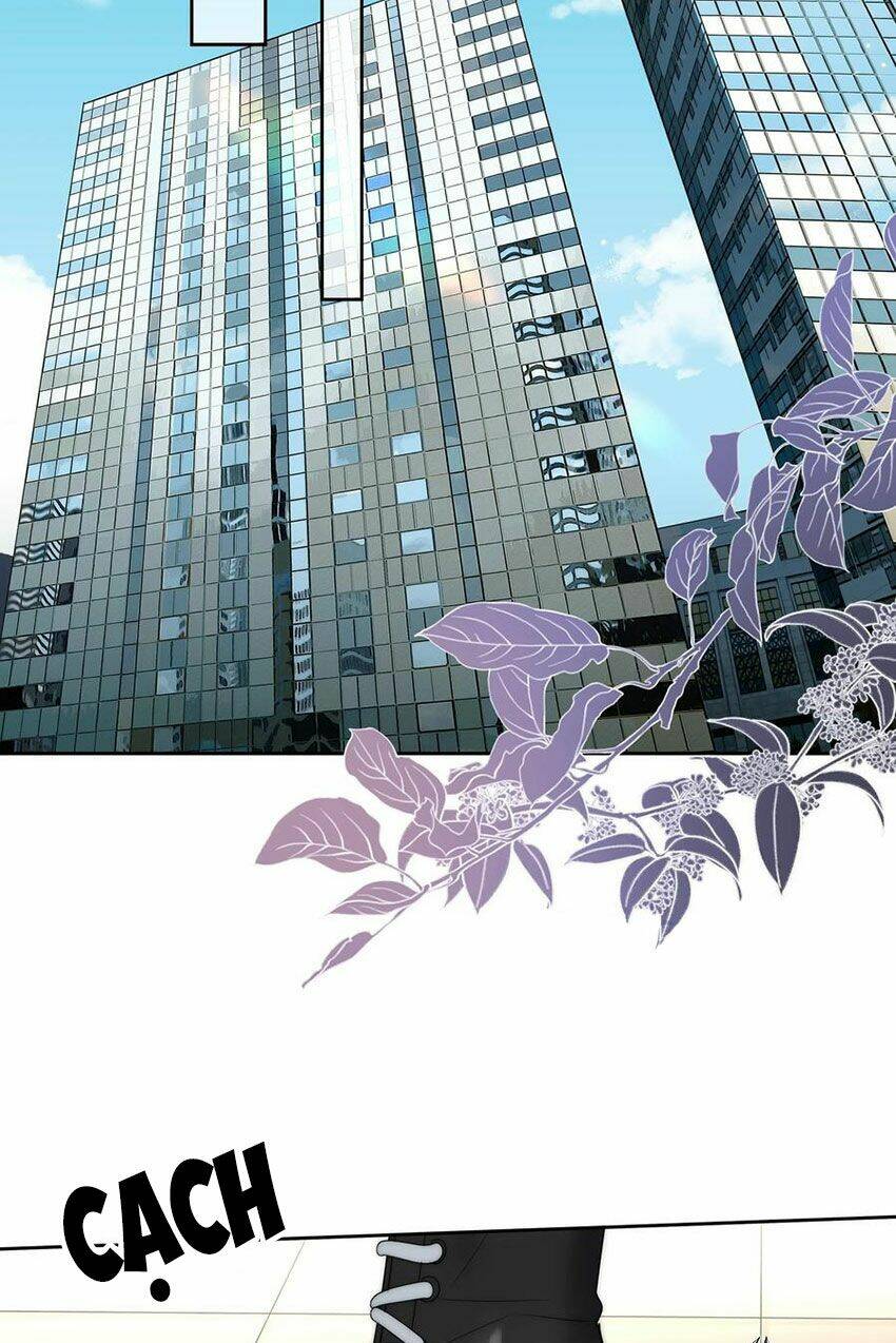 Boss Đại Nhân Là Nữ Thần?: Chapter 55