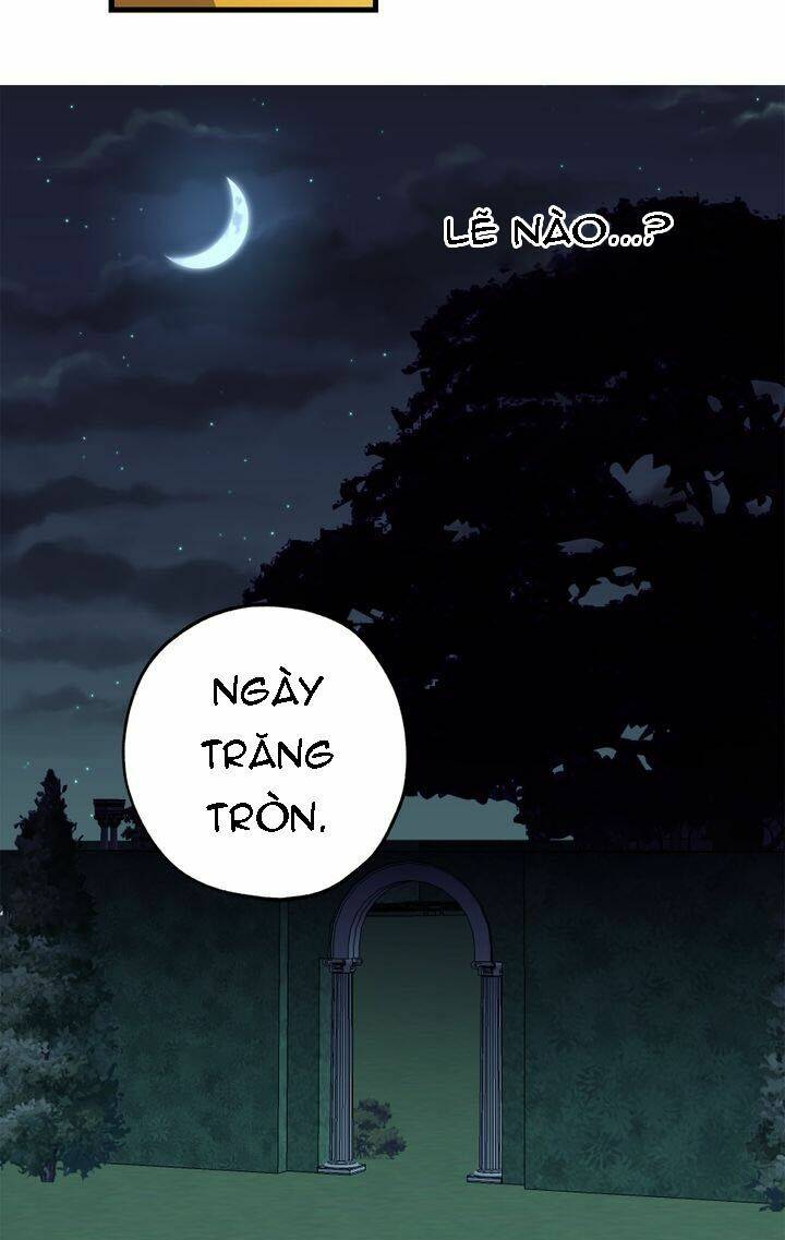 Tình Điên Dại: Chapter 66