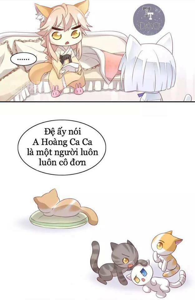 Dưới Móng Vuốt Mèo: Chapter 18