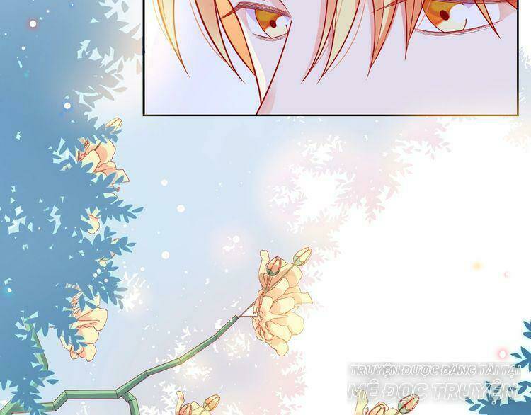 Giai Điệu Của Sự Va Chạm: Chapter 51