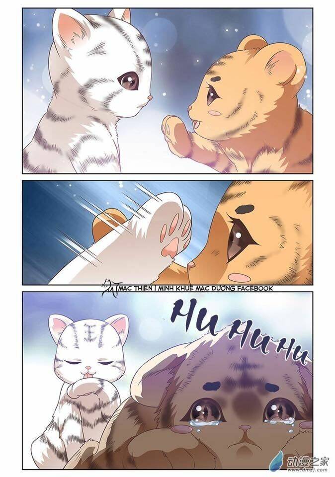 Yêu Em Từ Cái Nhìn Đầu Tiên: Chapter 6