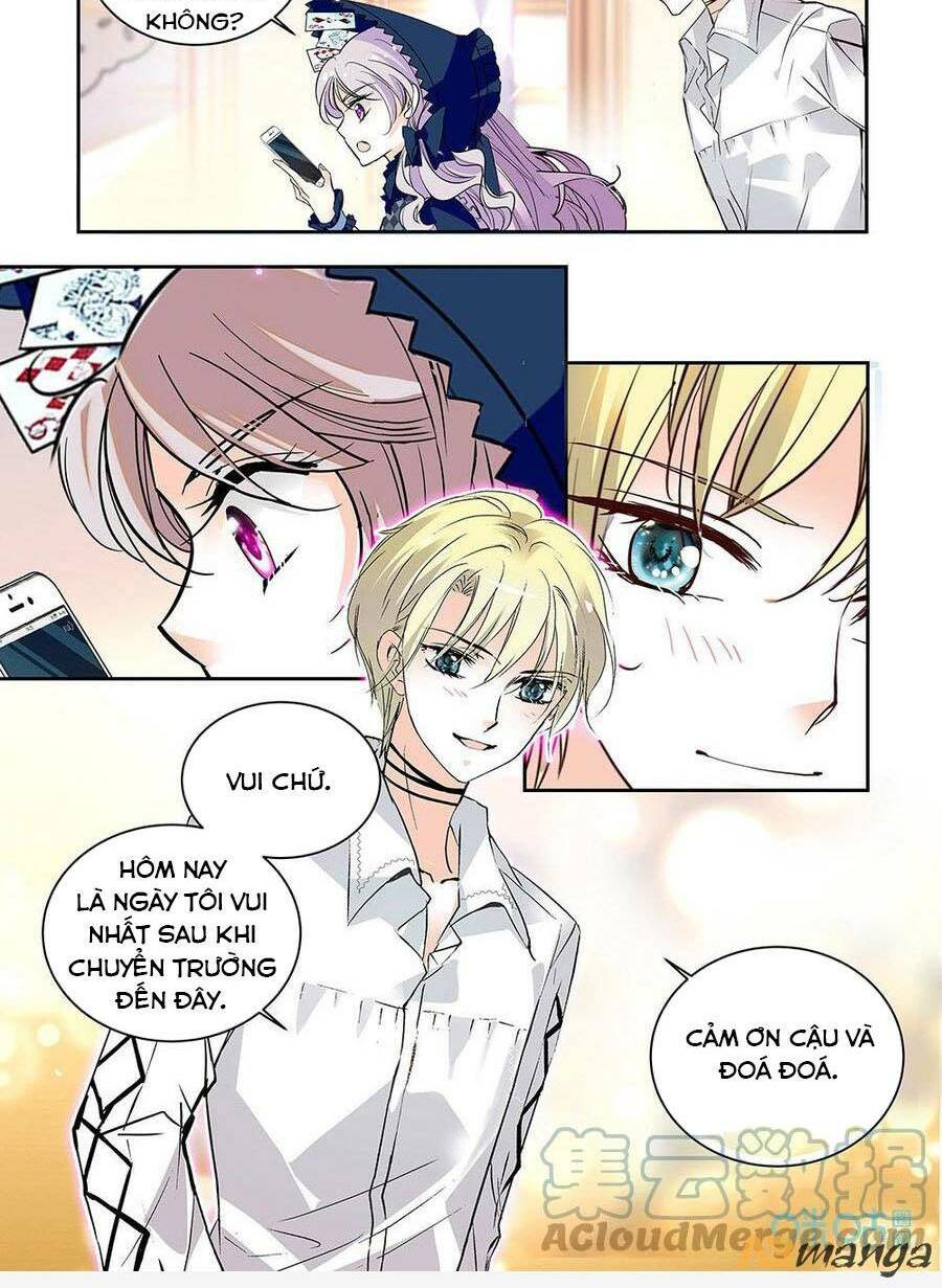 Thanh Ninh Chi Hạ: Chapter 488