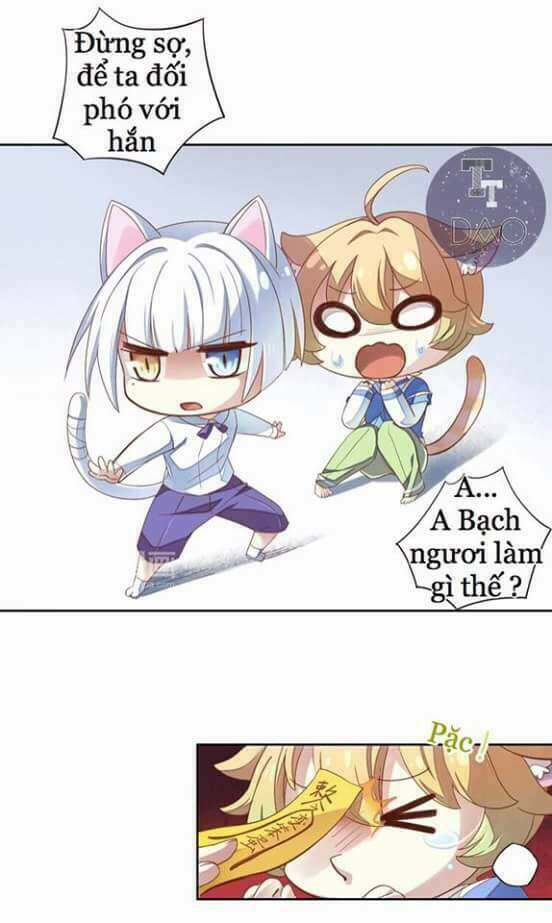 Dưới Móng Vuốt Mèo: Chapter 1