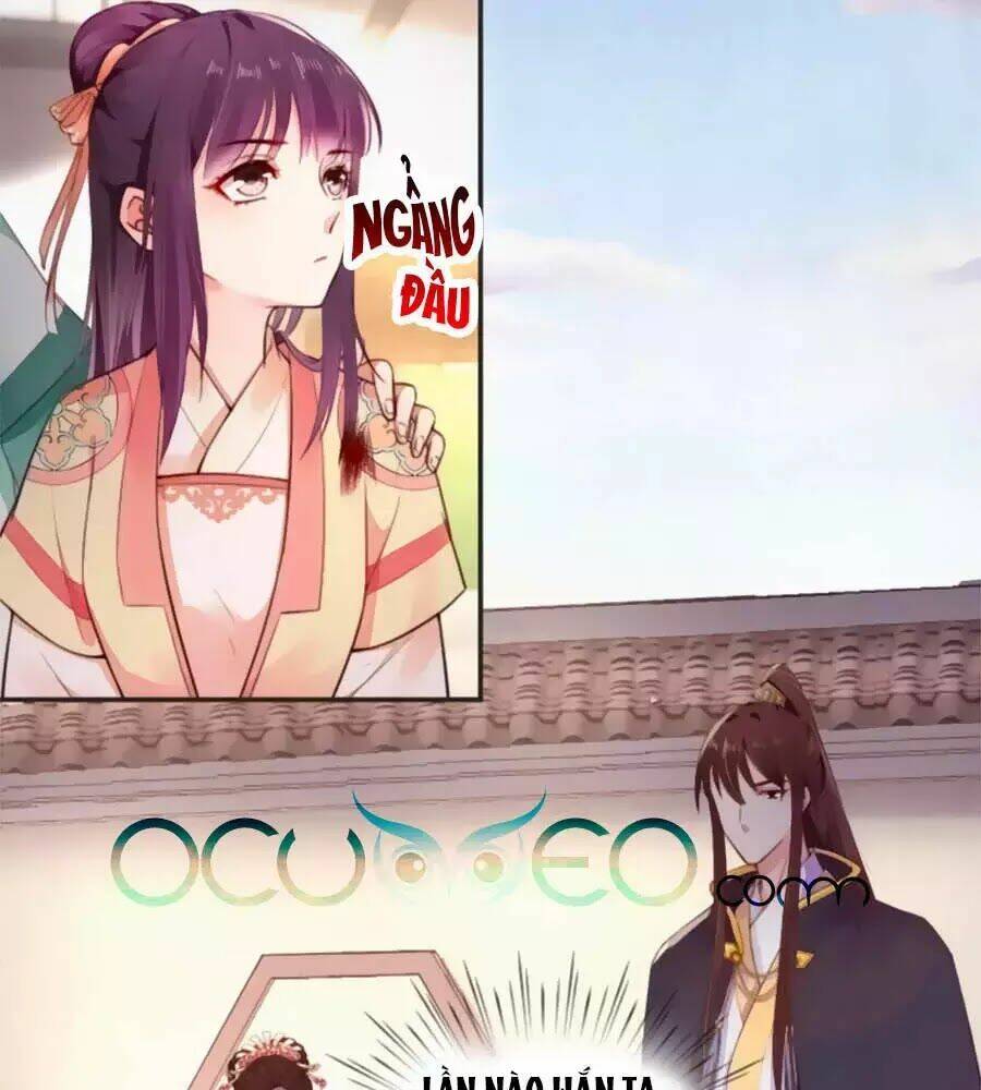 Hoạn Phi Hoàn Triều: Chapter 26