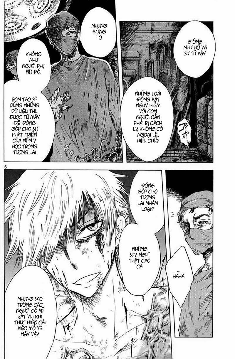 Pupa: Chapter 8