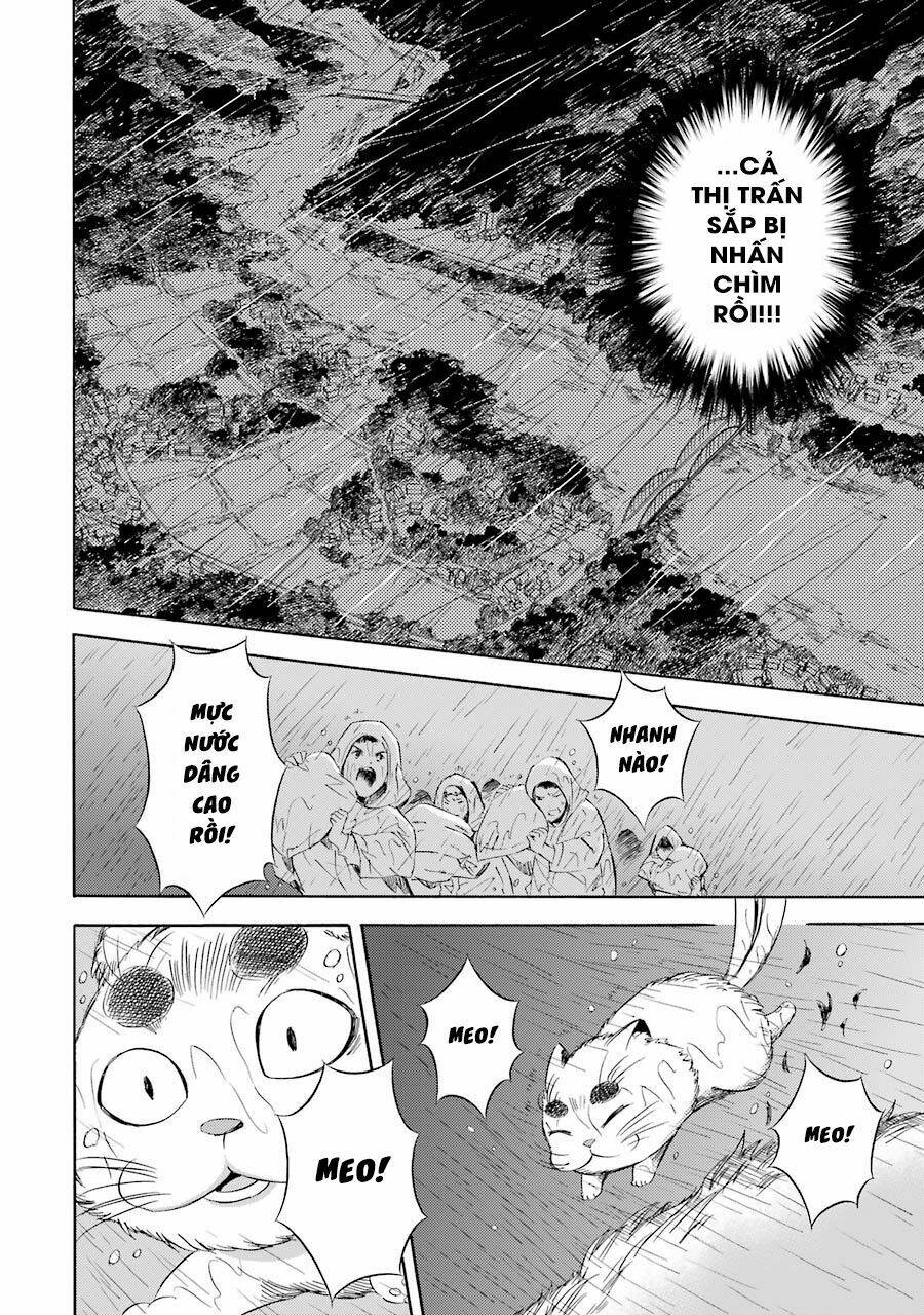 Vị Thần Ma Cà Rồng: Chapter 20