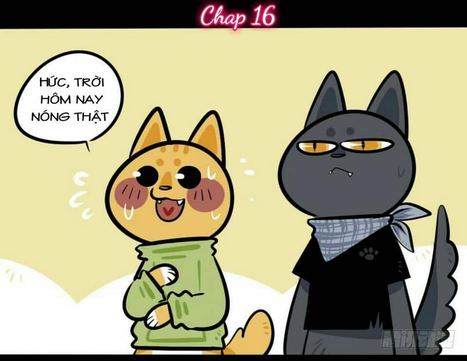 Đời Không Như Mình Tưởng: Chapter 16