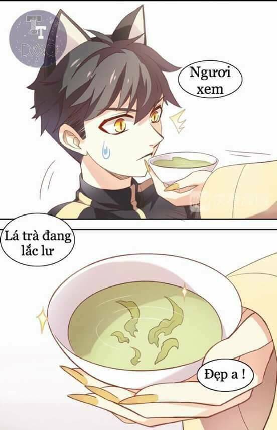 Dưới Móng Vuốt Mèo: Chapter 2