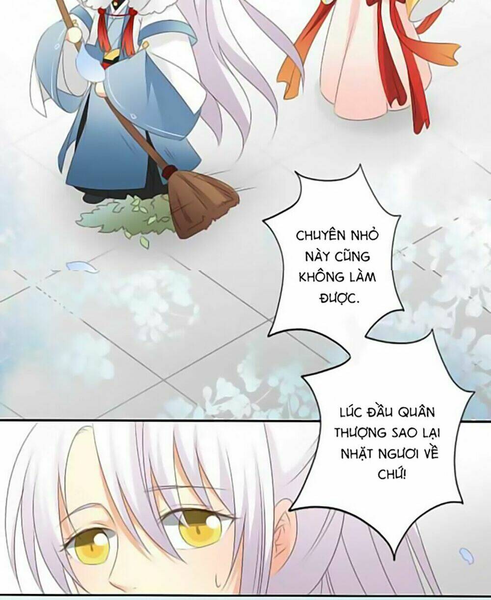 Quy Tự Dao: Chapter 14