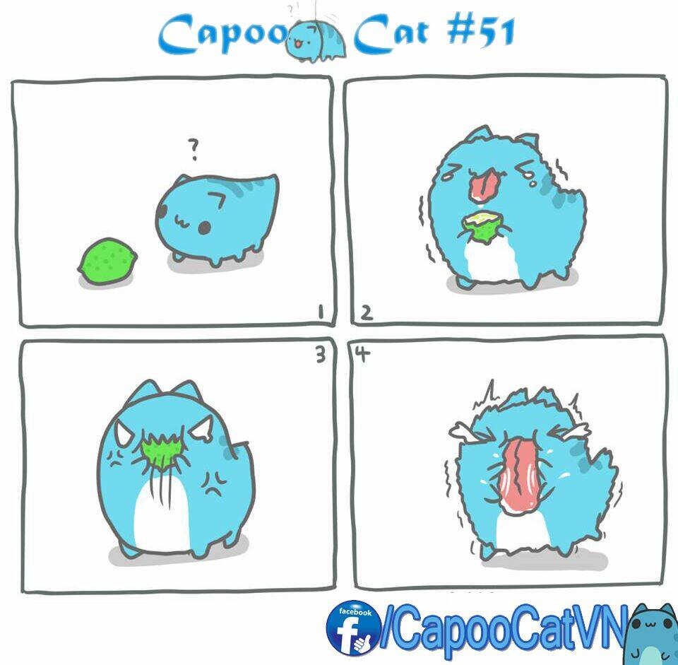 Capoo Cat: Chapter 6
