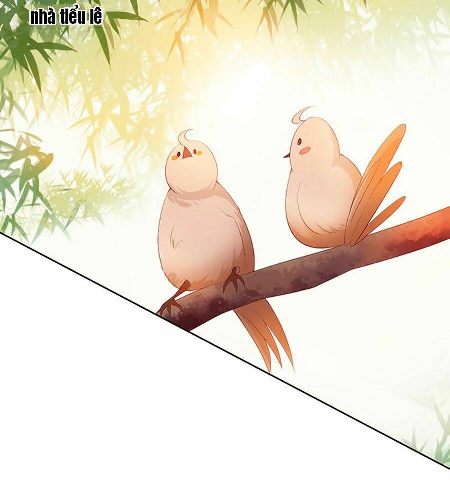 Bạn Trai Là Ngôi Sao: Chapter 83