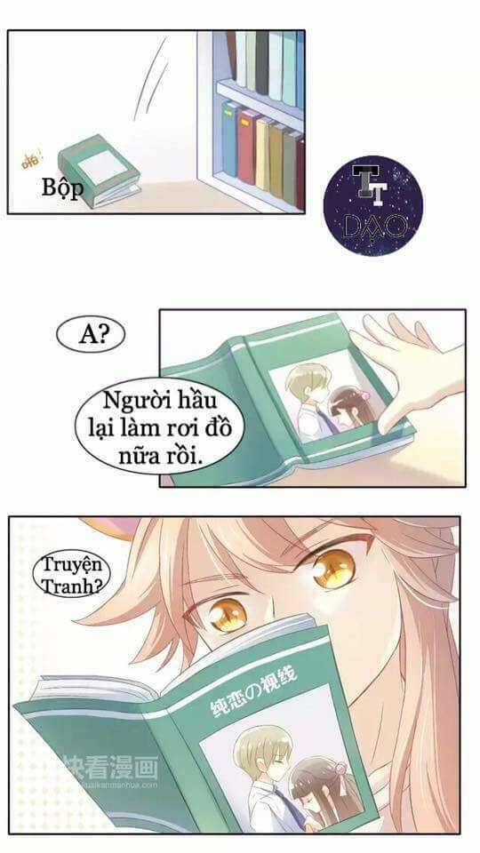Dưới Móng Vuốt Mèo: Chapter 10