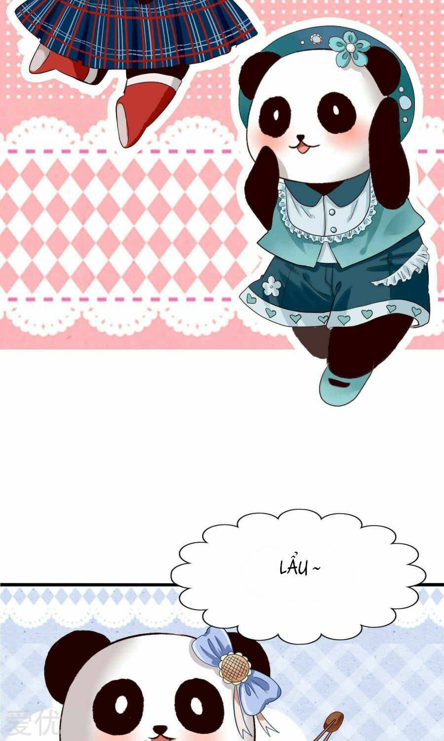 Tôi Bị Gấu Trúc Nhìn Trúng Rồi: Chapter 1